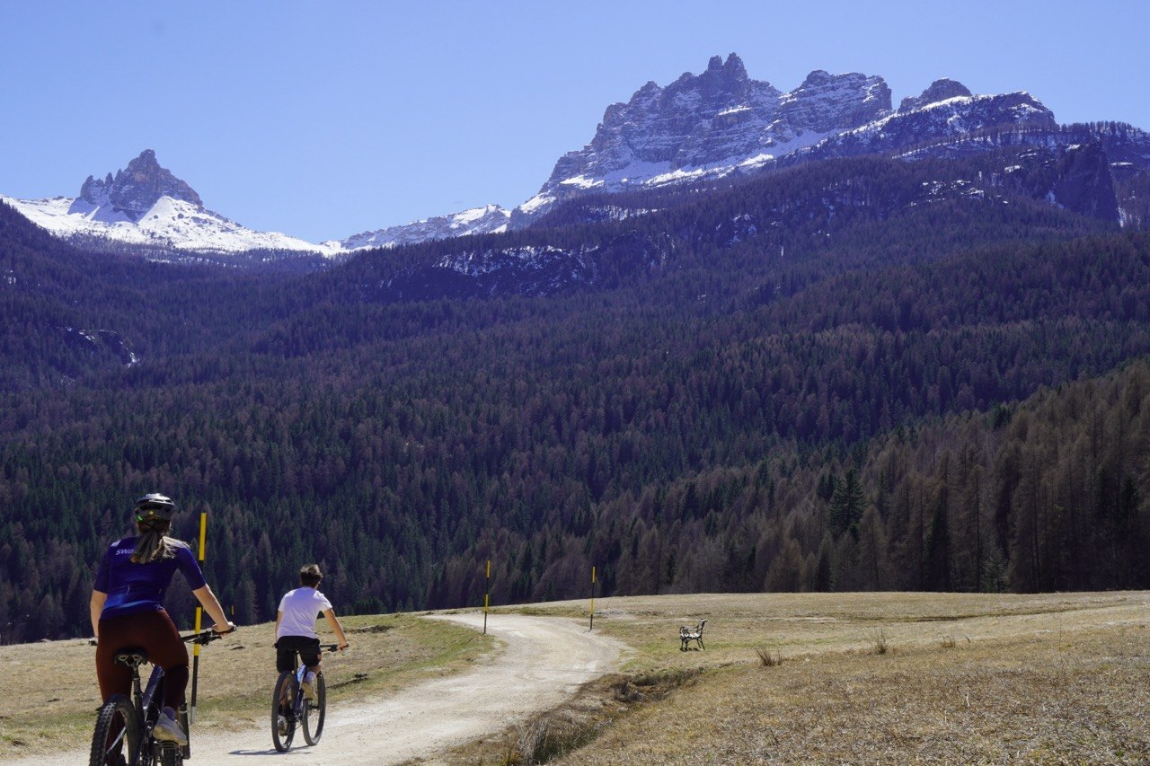 Single track nel bosco vicino a Cortina
