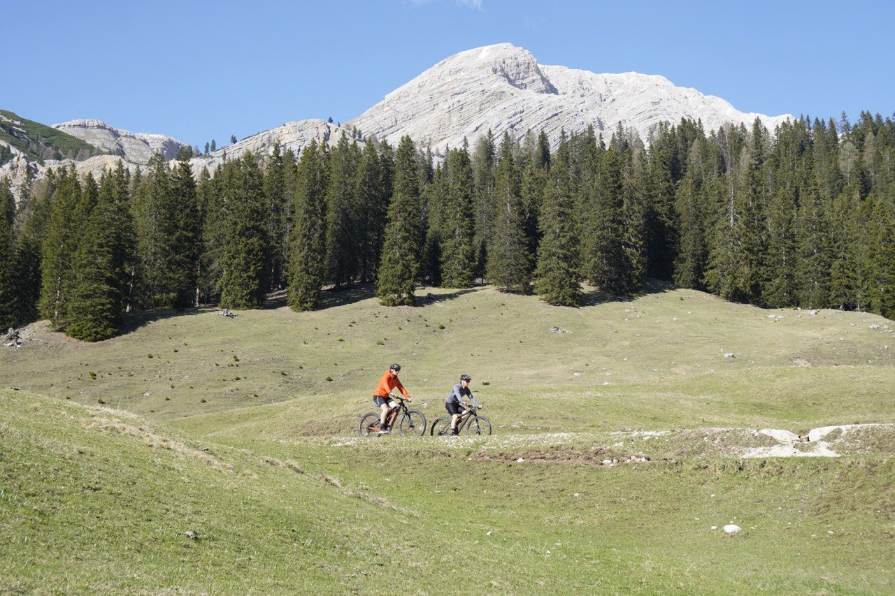 Vista aerea di un sentiero MTB tra i boschi